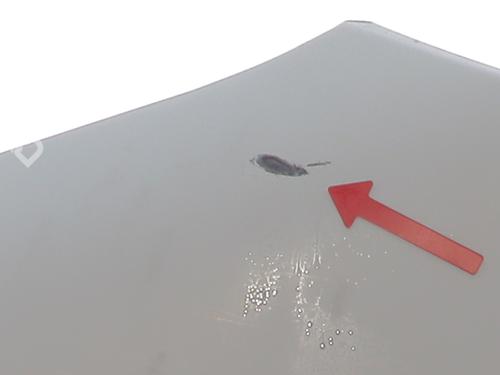 Forkjerm venstre RENAULT TRUCKS MASCOTT Platform/Chassis 120.65 (A00500007) | BP29900712C41