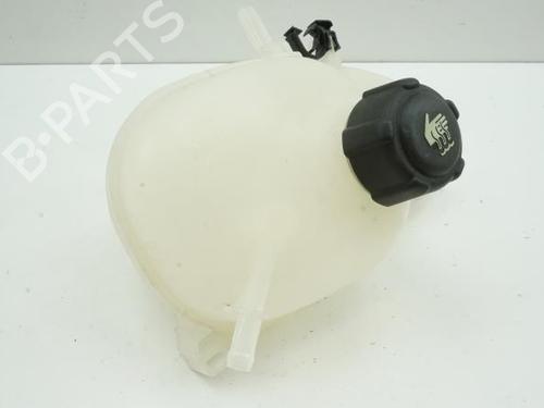Expansion tank RENAULT TWINGO III (BCM_, BCA_) 1.0 SCe 70 (BCMB) | BP18193039C120 