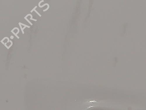 Forkjerm venstre RENAULT TRUCKS MASCOTT Platform/Chassis 120.65 (A00500007) | BP29900712C41