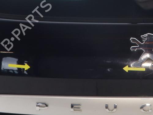 Tailgate PEUGEOT 308 SW I (4E_, 4H_) 1.6 16V | BP29525745C6 