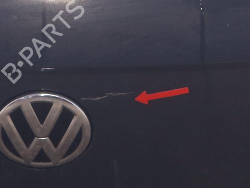 Bagklap CC/Kombi-Coupé Bagklap CC/Kombi-Coupé VW POLO VI (AW1, BZ1, AE1) 1.6 TDI (95 hp) 34395560 34395560