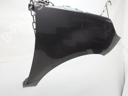 Right front fenders RENAULT SCÉNIC III (JZ0/1_) 1.5 dCi | BP19730520C42 
