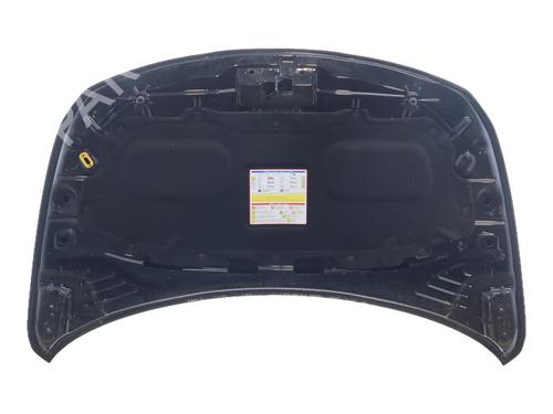 Motorhaube für Motorhaube 39254808 39254808