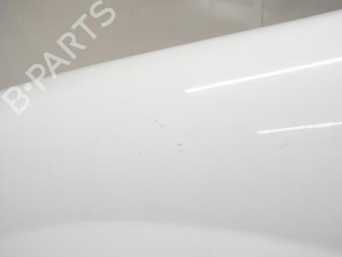 Left front fenders RENAULT KANGOO / GRAND KANGOO II (KW0/1_) 1.5 dCi 85 (KW0K, KW0L, KW0B) | BP18196559C41 