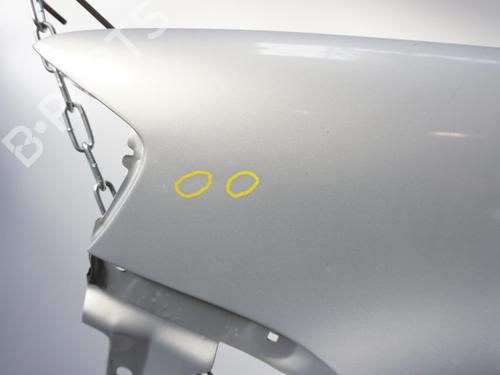 Left front fenders VW POLO (6N2) 1.9 SDI | BP18172543C41 