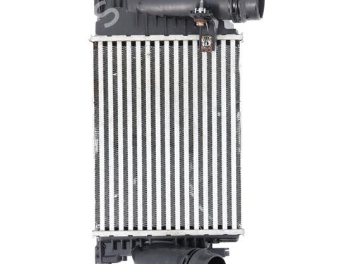 Intercooler RENAULT TALISMAN Grandtour (KP_) 1.6 dCi 160 (160 hp) 22557458