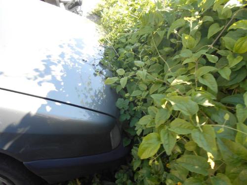 Right headlight CITROËN ZX Break (N2) 1.9 D | BP18179505C29 