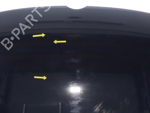 Hood VW POLO V (6R1, 6C1) 1.2 | BP30176594C1