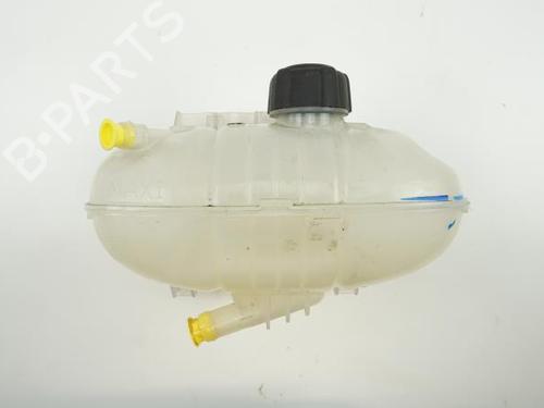 Expansion tank RENAULT TRAFIC III Van (FG_) 1.6 dCi 125 (FGMH) | BP18181809C120