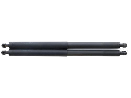 Tailgate lift support BMW X1 (F48) sDrive 18 d | BP29563542C138 