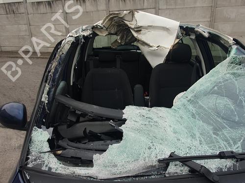 Used Parts SKODA FABIA II (542)  1.6 TDI  2390057