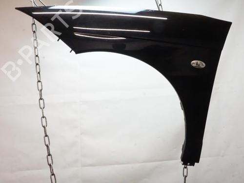Used Left front fenders CITROËN C6 (TD_) 3.0 HDi (241 hp) 18174949