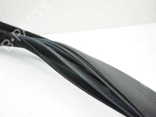 Rubber door seal JAGUAR XF I (X250) 3.0 D | BP18175523C142 