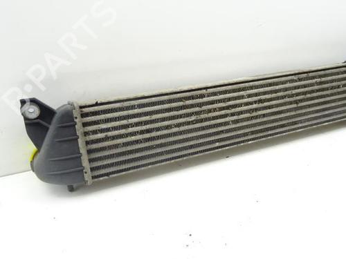 Intercooler SUZUKI SX4 (EY, GY) 1.9 DDiS 4x4 (RW419D) | BP18189227M30 