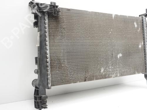 Water radiator FIAT QUBO (225_) 1.3 D Multijet (225CXB1A, 225AXB1A, 225CXB11, 225AXB11,... | BP19729459M31 