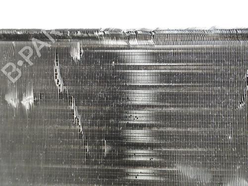 Used Water radiator FIAT PANDA (169_) 1.2 (169.AXB11, 169.AXB1A) (60 hp) 18190835