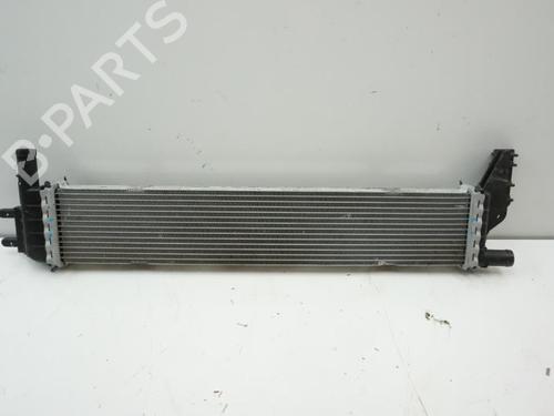 Used Water radiator Water radiator DACIA SANDERO II 1.5 Blue dCi 95 (B8JL) (95 hp) 18182303 18182303