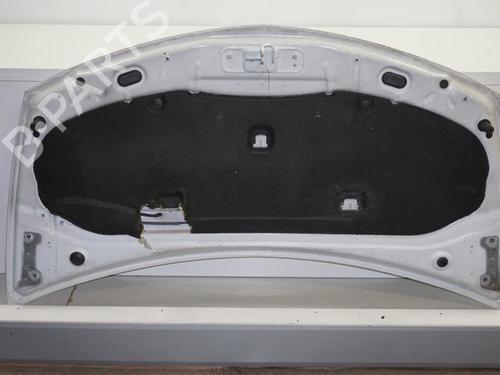 Hood RENAULT CLIO III (BR0/1, CR0/1) 1.5 dCi (C/BR0G, C/BR1G) | BP18189316C1 