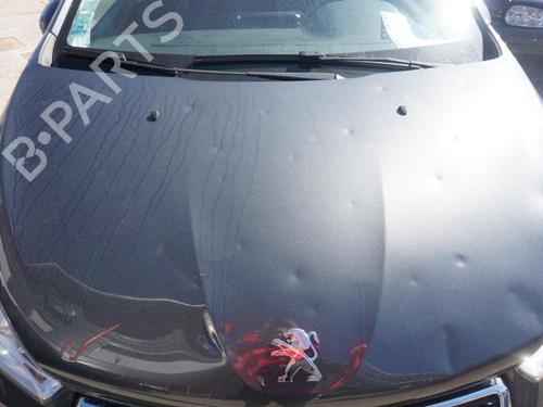 Lamp holder PEUGEOT 208 I (CA_, CC_) 1.2 VTI 82 | BP22072172L10 