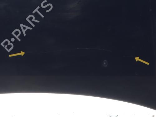 Capot Capot NISSAN X-TRAIL I (T30) 2.2 dCi 4x4 (136 hp) 29304652 29304652
