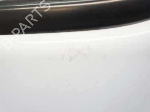 Left front door RENAULT MASTER II Platform/Chassis (ED/HD/UD) 2.5 dCi | BP18174983C2 