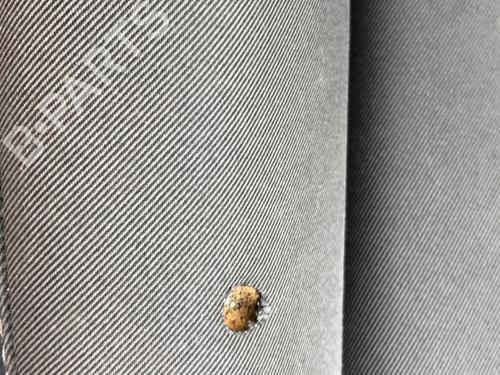 Climate control SEAT LEON (1P1) 1.4 TSI | BP23762756I5  - Image 13