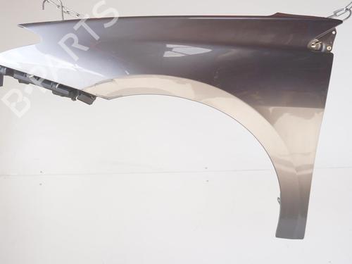 Left front fenders RENAULT LAGUNA III (BT0/1) 1.5 dCi (BT00, BT0A, BT0T, BT1J) | BP18183561C41 