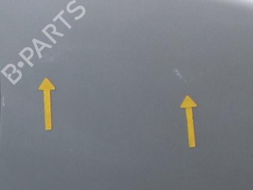 Right front door RENAULT TRAFIC II Van (FL) 2.0 dCi 90 (FL0H, FL00, FL01, FL0M, FL0P, FL0S) | BP24865716C3