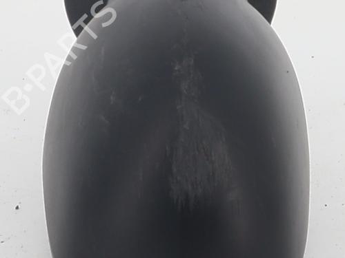 Right mirror DACIA LOGAN (LS_) 1.5 dCi (LS0K) | BP31793985C27