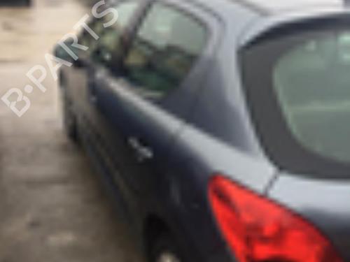 Front right exterior door handle PEUGEOT 207 (WA_, WC_) 1.6 HDi | BP22071273C129 