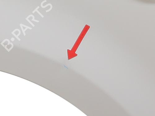 Left front fenders FIAT PANDA (169_) 1.2 (169AXF2A, 169AXF1A) | BP31612700C41