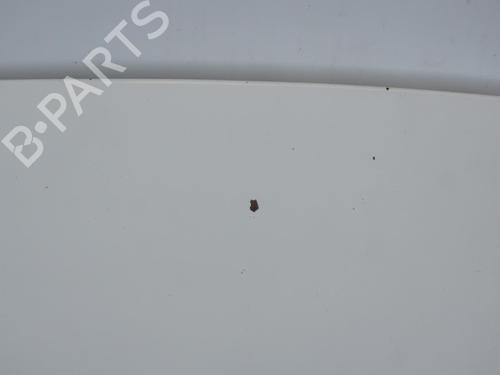 Hood FIAT SCUDO Van (270_, 272_) 1.6 D Multijet | BP18184562C1 