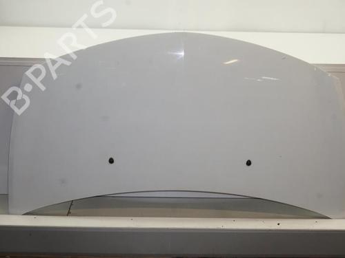 Used Hood RENAULT CLIO III (BR0/1, CR0/1) 1.5 dCi (C/BR0G, C/BR1G) (68 hp) 18189316