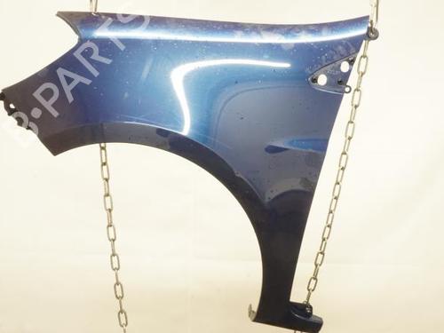 Left front fenders RENAULT CLIO III (BR0/1, CR0/1) 1.4 16V | BP18189674C41 