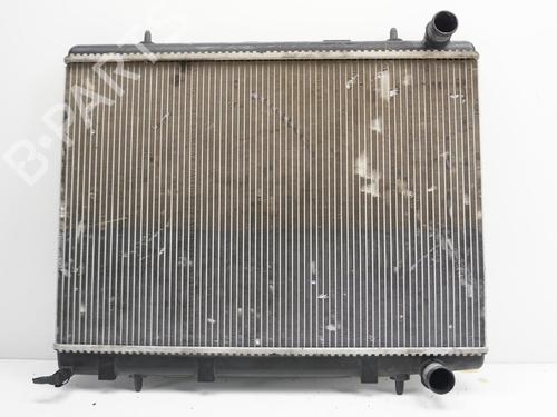 Køler PEUGEOT 307 CC (3B) 2.0 16V | BP19729999M31 