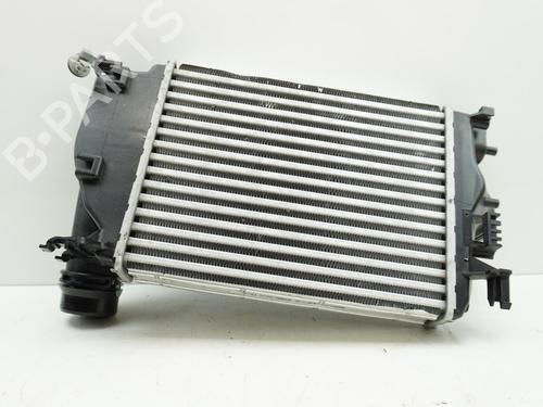 Intercooler RENAULT MEGANE IV Hatchback (B9A/M/N_) 1.2 TCe 130 (B9MR) (130 hp) 18188227