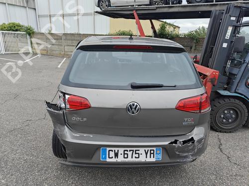 Engine VW GOLF VII (5G1, BQ1, BE1, BE2) 1.6 TDI | BP28152783M1 