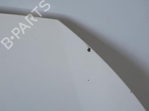 Hood FIAT SCUDO Van (270_, 272_) 1.6 D Multijet | BP18184562C1 