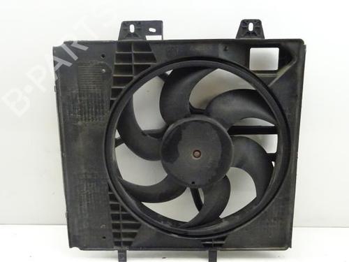 Used Radiator fan PEUGEOT 207 (WA_, WC_) 1.4 HDi (68 hp) 18189209