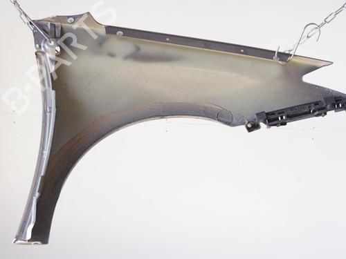 Left front fenders RENAULT LAGUNA III (BT0/1) 1.5 dCi (BT00, BT0A, BT0T, BT1J) | BP18183561C41 