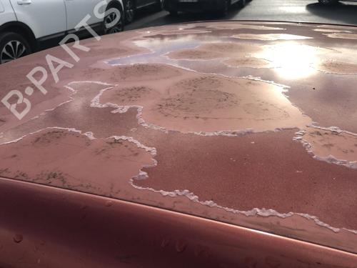 Left headlight CITROËN C4 II (NC_) 1.6 HDi 115 | BP32124680C28 