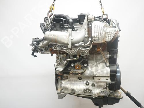 Engine AUDI A4 B9 (8W2, 8WC) 35 TDI Mild Hybrid | BP21378632M1 