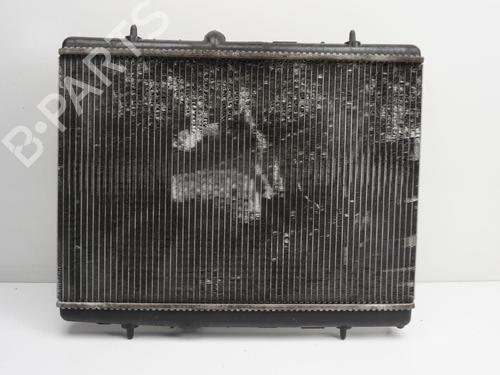 Used Water radiator PEUGEOT 308 I (4A_, 4C_) 1.4 16V (95 hp) 19700481
