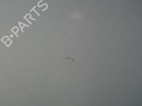 Left front door OPEL CORSA D (S07) 1.3 CDTI (L08, L68) | BP18191047C2 