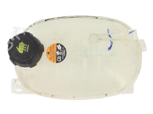 Used Expansion tank NISSAN JUKE (F16_) DIG-T 117 (117 hp) 23764196