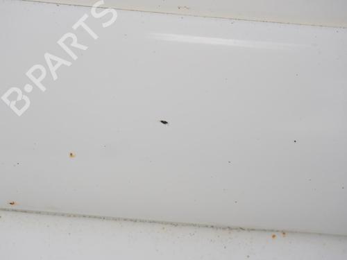 Used Right front door CITROËN BERLINGO / BERLINGO FIRST MPV (MF_, GJK_, GFK_) 2.0 HDI 90 (MFRHY) (90 hp) 18191131
