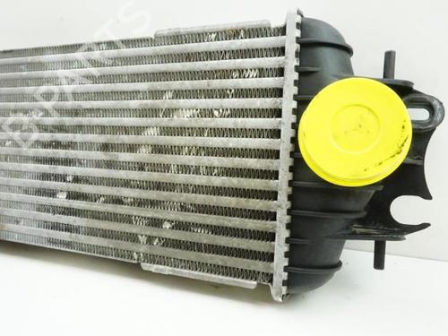 Ladeluftkühler für RENAULT TRAFIC II Bus (JL) 1.9 dCI 100 (JL0C, JL0K) (101 hp) 18174592