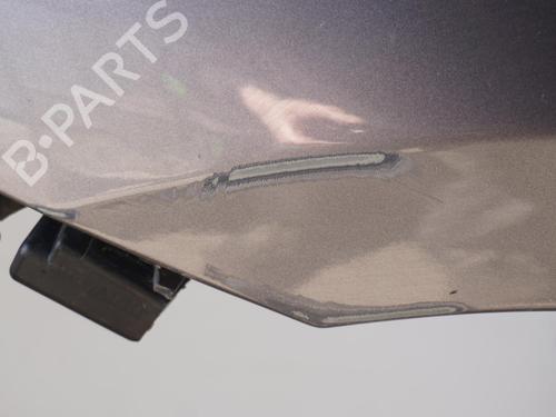 Left front fenders RENAULT LAGUNA III (BT0/1) 1.5 dCi (BT00, BT0A, BT0T, BT1J) | BP18183561C41 