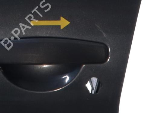 Left front door DACIA SANDERO 1.4 MPI LPG | BP26892153C2