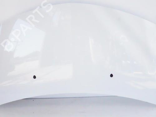 Used Hood RENAULT CLIO III (BR0/1, CR0/1) 1.5 dCi (C/BR0G, C/BR1G) (68 hp) 18192411